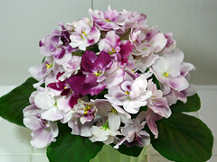 photo_nor for Mac's Southern Springtime