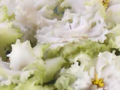 photo_nor for ЛЕ-Ирландская Зима