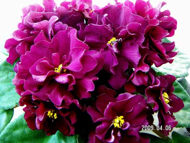 pict2705.jpg
