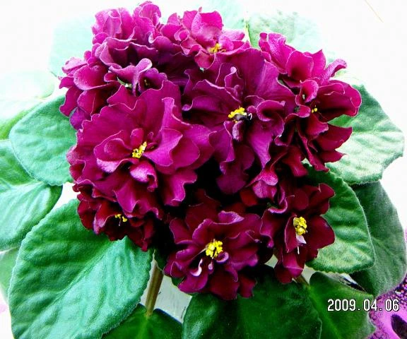 pict2703.jpg