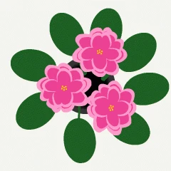 54012.gif