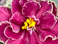 photo_nor for АВ-Эмблема Любви (871-70)