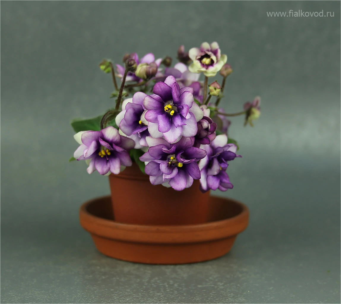 АВ-Ежик в Тумане (802-1)