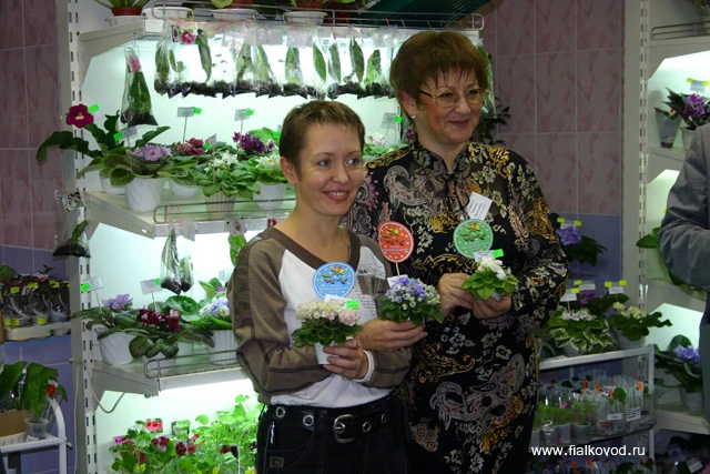 мини