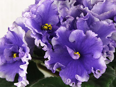 photo_nor for АВ-Озеро Надежды (770-154)