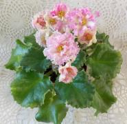 photo_nor for ЕК-Солнечное Настроение