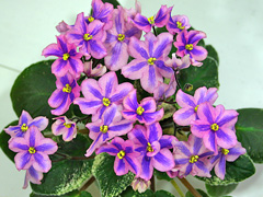 photo_nor for Ирина