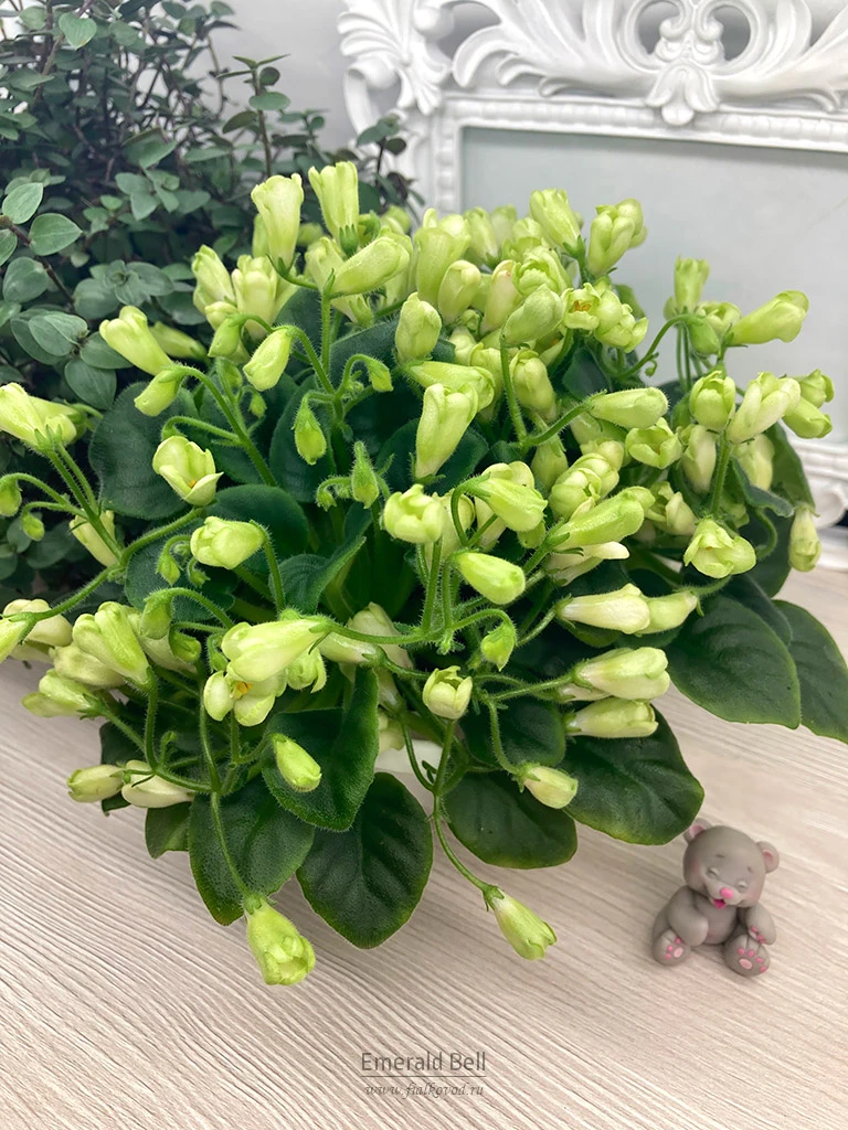 Emerald Bell
