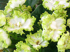 photo_nor for Парниковый Эффект