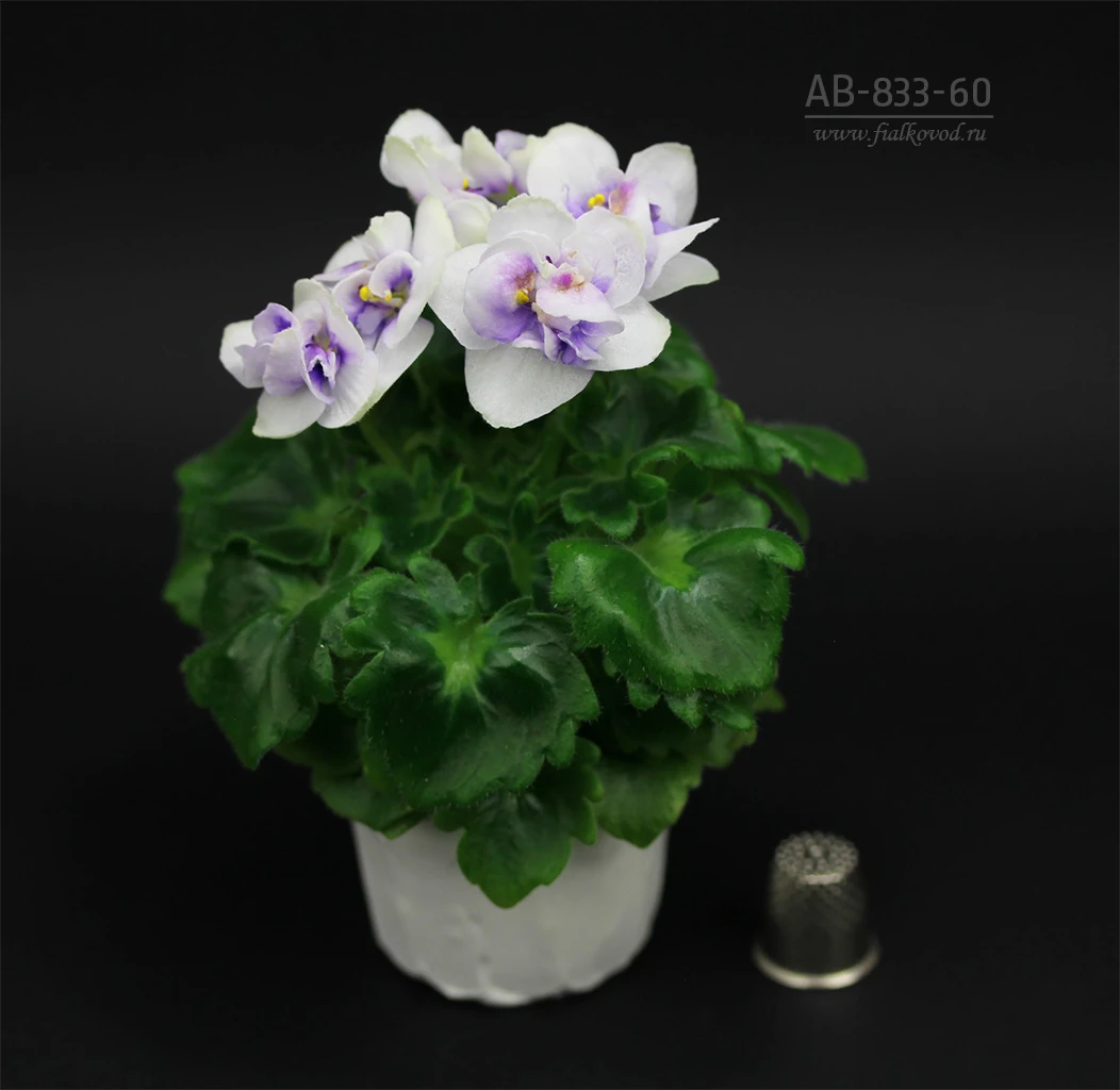 АВ-833-60, сеянец