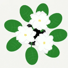 44637.gif